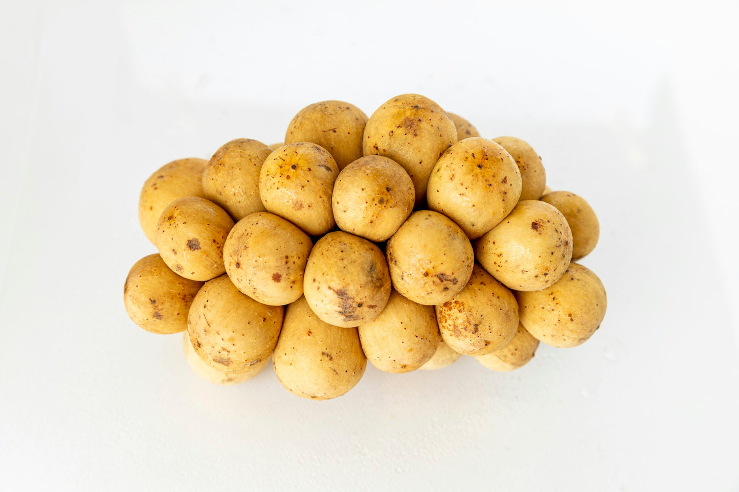 Fresh longkong lanzones langsat on white
