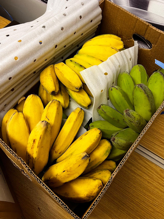 FRESH SABA BANANA - CARDABA BANANA 1KG